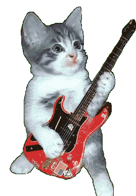 Cute Cat GIF